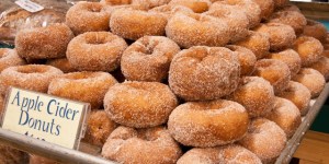 Cinder Donuts at Idylwilde Farms, Acton, MA