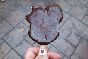 Walt Disney World Mickey Bar Disney treats