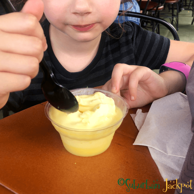Magic Kingdom Walt Disney World Dole Whip Adventureland