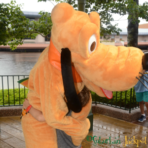 Pluto Walt Disney World Epcot