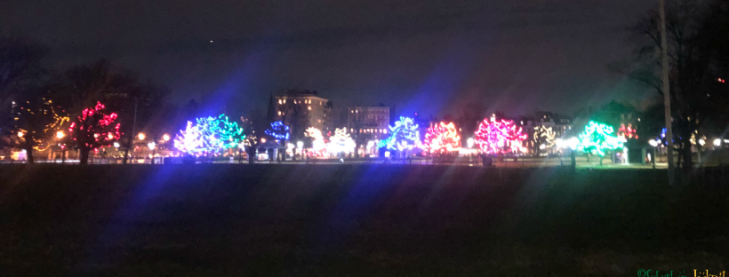 Boston Common Massachusetts Christmas Lights