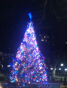 Boston Common Massachusetts Christmas Tree Holiday lights