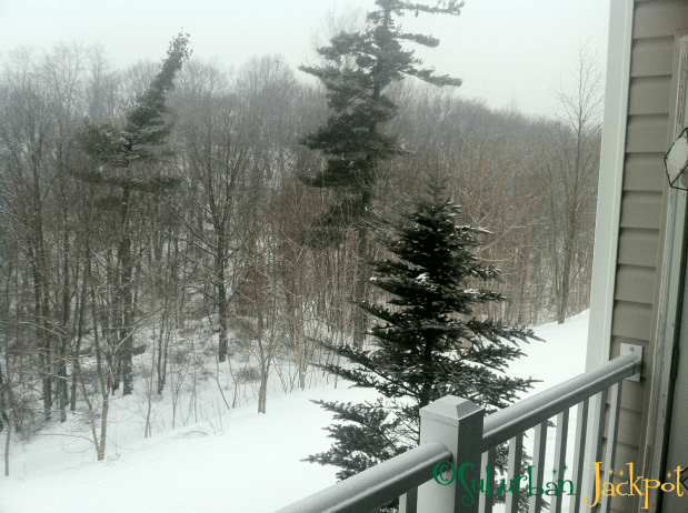 Snow woods Boston Massachusetts suburb apartment winter scene