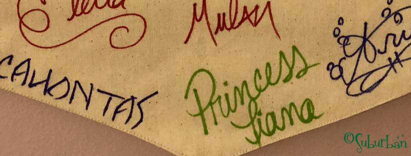 Walt Disney World Character Autographs Meet and Greet Princess Pocahontas Tiana Elena Ariel Mulan Elsa Tinker Bell