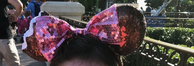 Mickey Ears Disney World