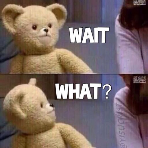 Snuggle Teddy bear wait what meme